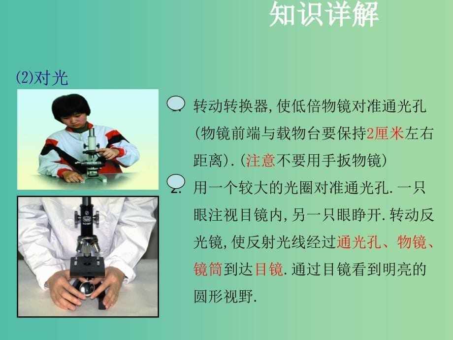 中考生物复习 第二单元 第一节 细胞是生命活动的基本单位课件_第5页