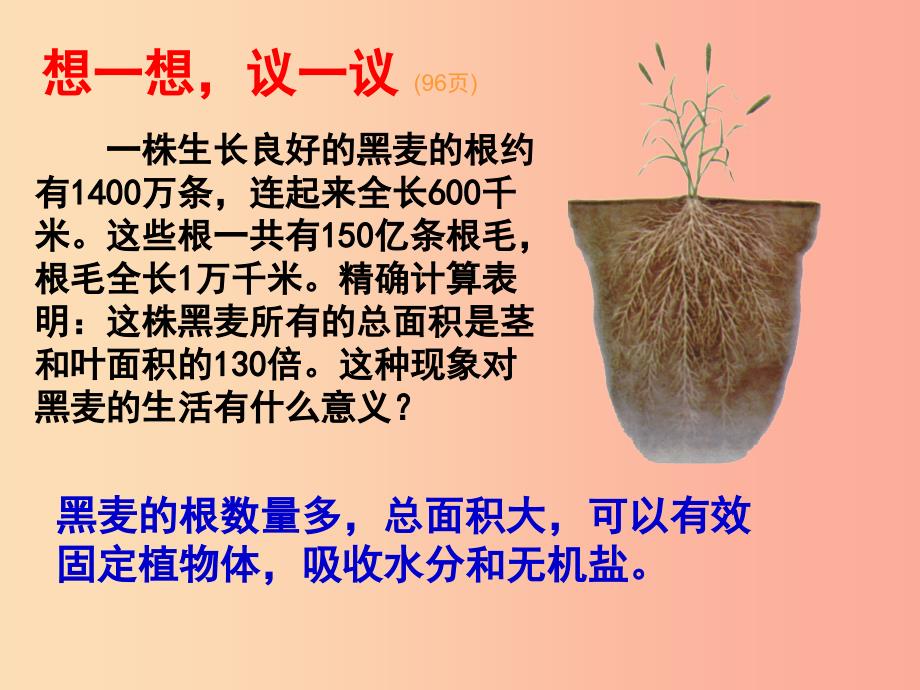 吉林省七年级生物上册3.2.2植株的生长课件 新人教版_第2页