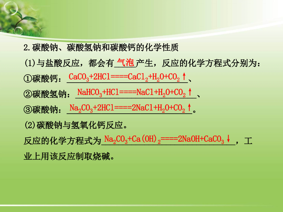 中考化学专题复习课件：第11单元-盐和化肥.ppt_第4页