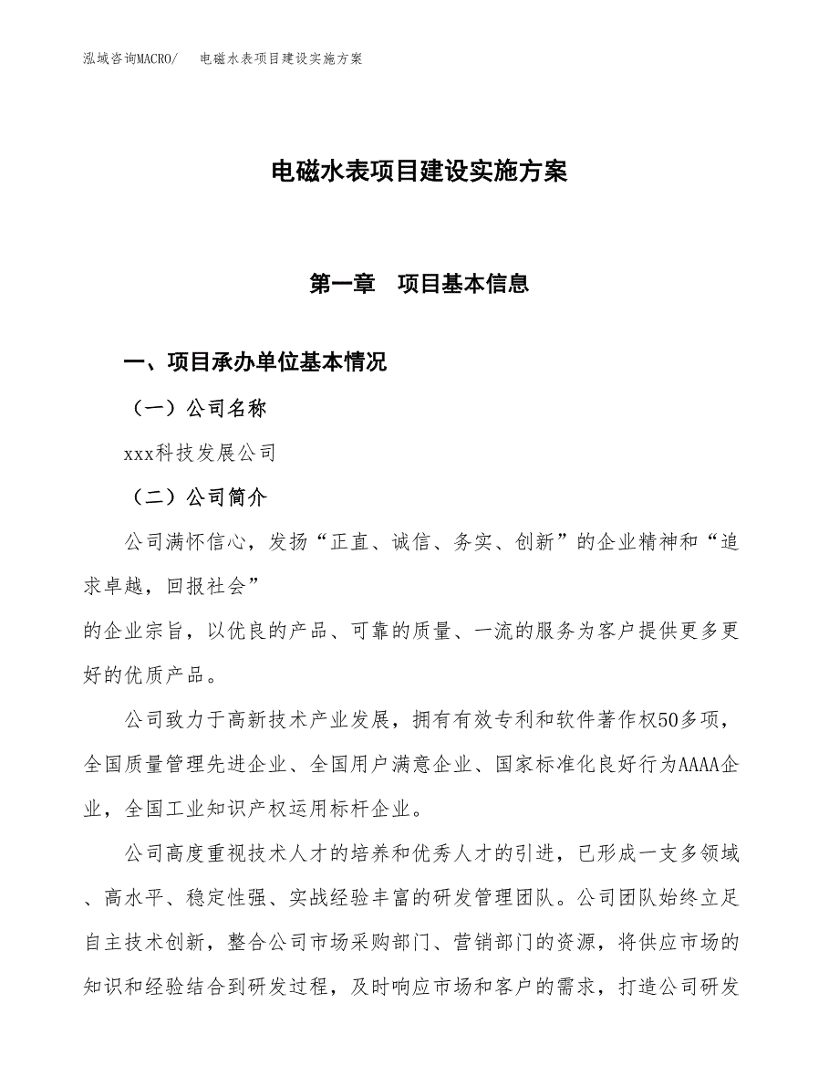 电磁水表项目建设实施方案.docx_第1页