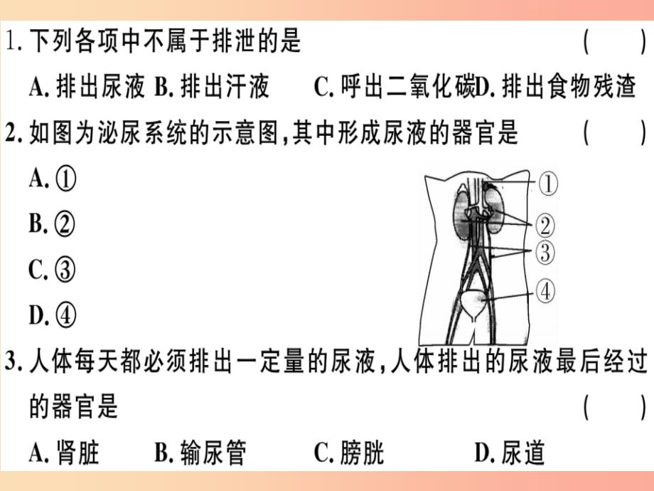 2019七年级生物下册 第四单元 第五章 人体内废物的排出检测卷课件新人教版_第2页