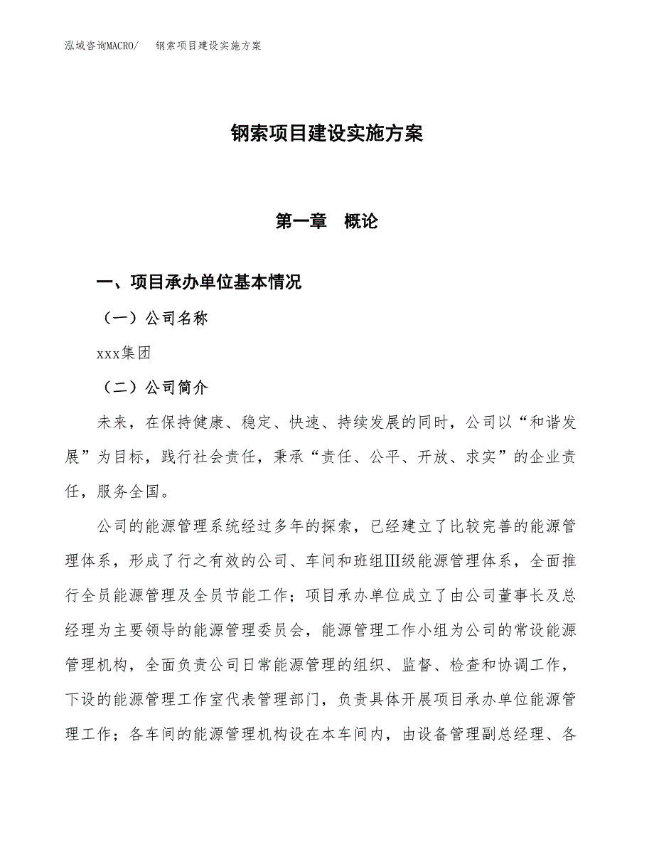 钢索项目建设实施方案.docx_第1页