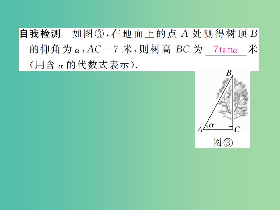 九年级数学下册 1.6 利用三角函数测高习题课件 （新版）北师大版_第4页