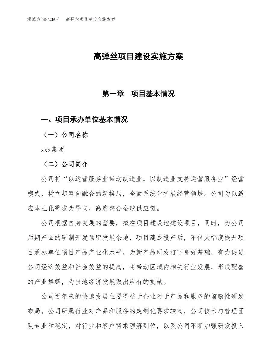 高弹丝项目建设实施方案.docx_第1页