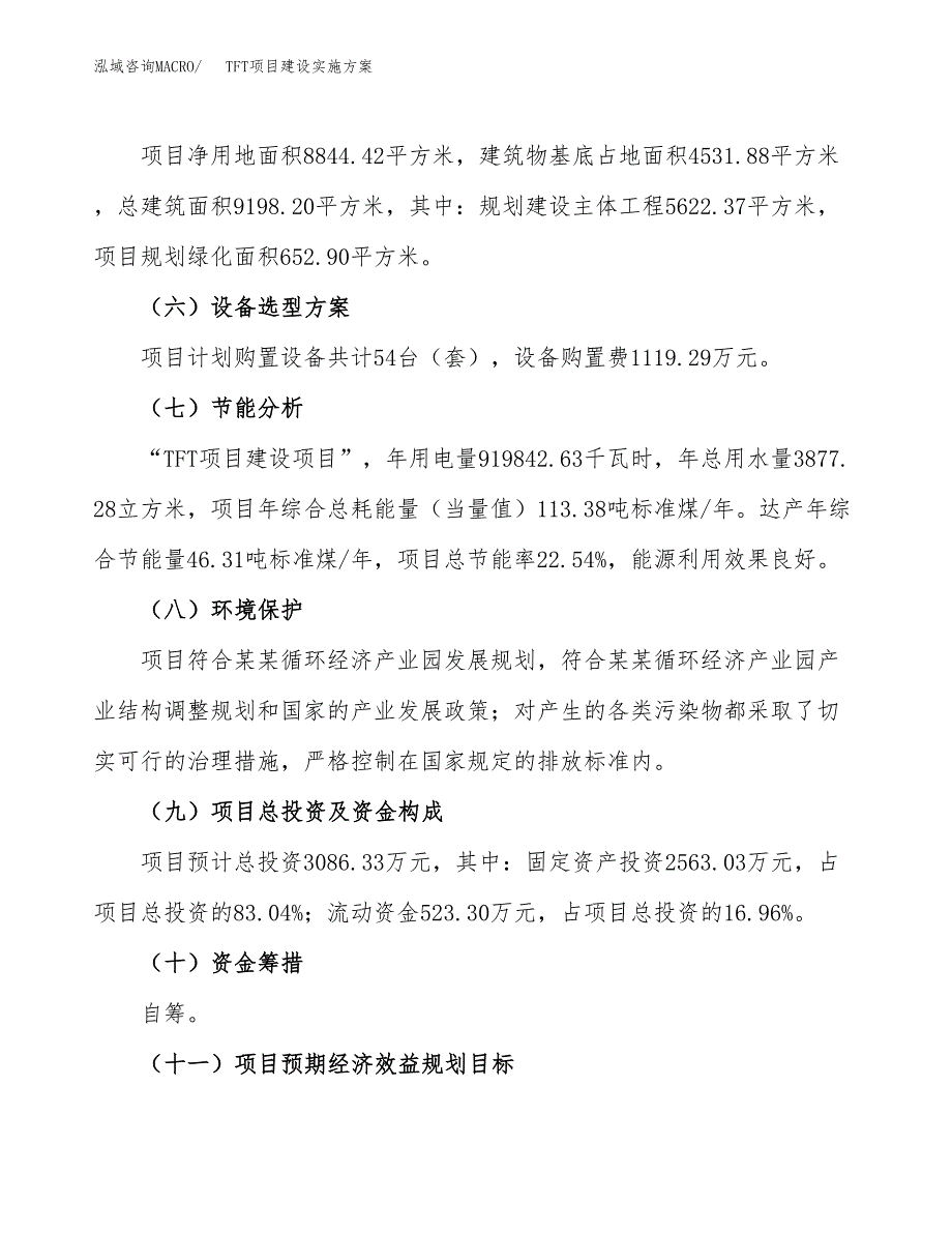 TFT项目建设实施方案.docx_第3页