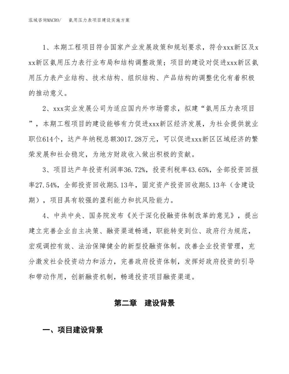 氨用压力表项目建设实施方案.docx_第5页