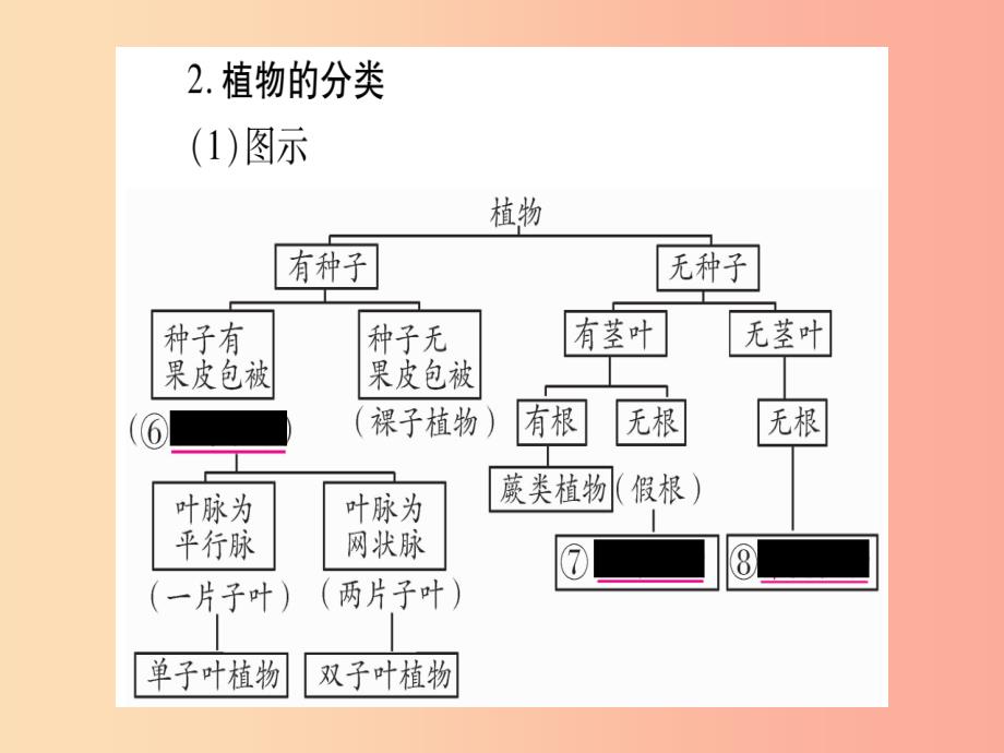 （玉林专版）2019年中考生物总复习 八上 第6单元 生物的多样性及其保护课件_第3页