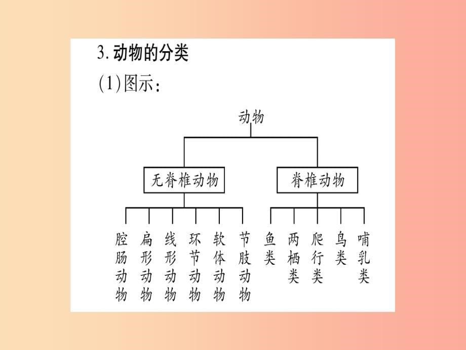 （玉林专版）2019年中考生物总复习 八上 第6单元 生物的多样性及其保护课件_第5页