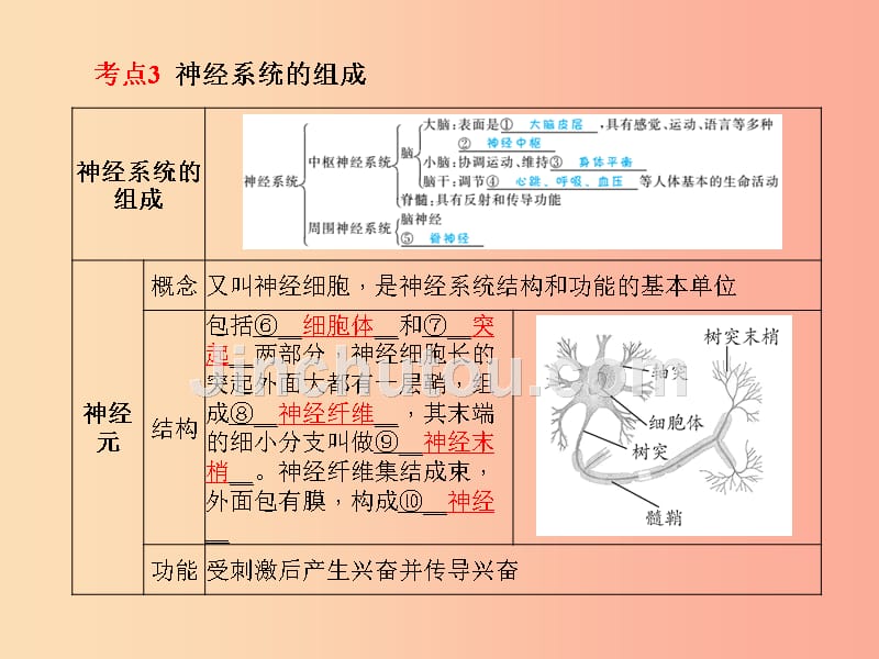 中考生物 第一部分 系统复习 成绩基石 第4单元 第6、7章 人体生命活动的调节和人类活动对生物圈的影响课件_第4页