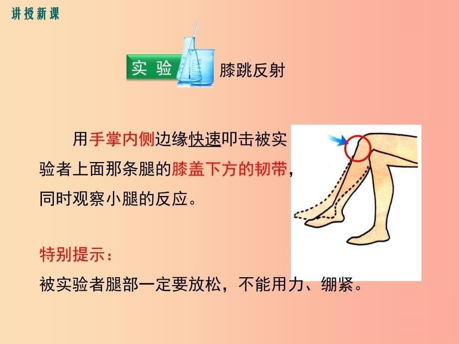 2019年春七年级生物下册 第四单元 第六章 第三节 神经调节的基本方式课件新人教版_第5页