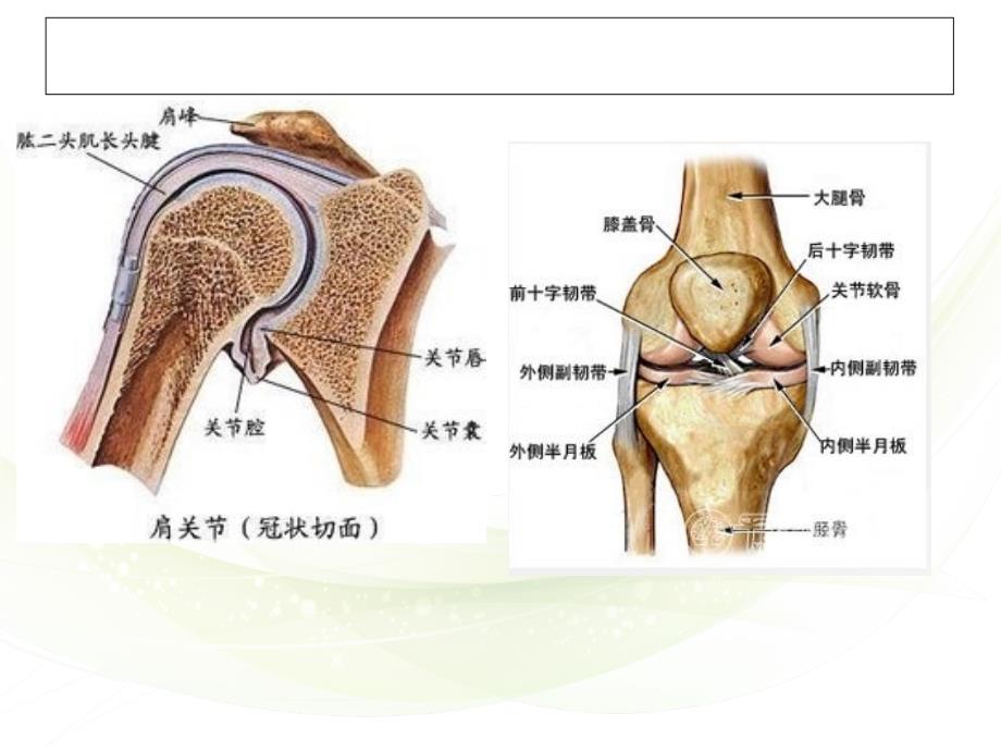 关节活动技术适合齐素萍康复治疗技术_第4页