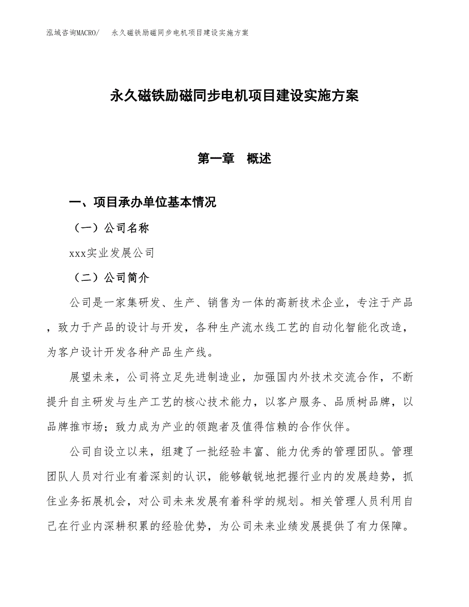 永久磁铁励磁同步电机项目建设实施方案.docx_第1页