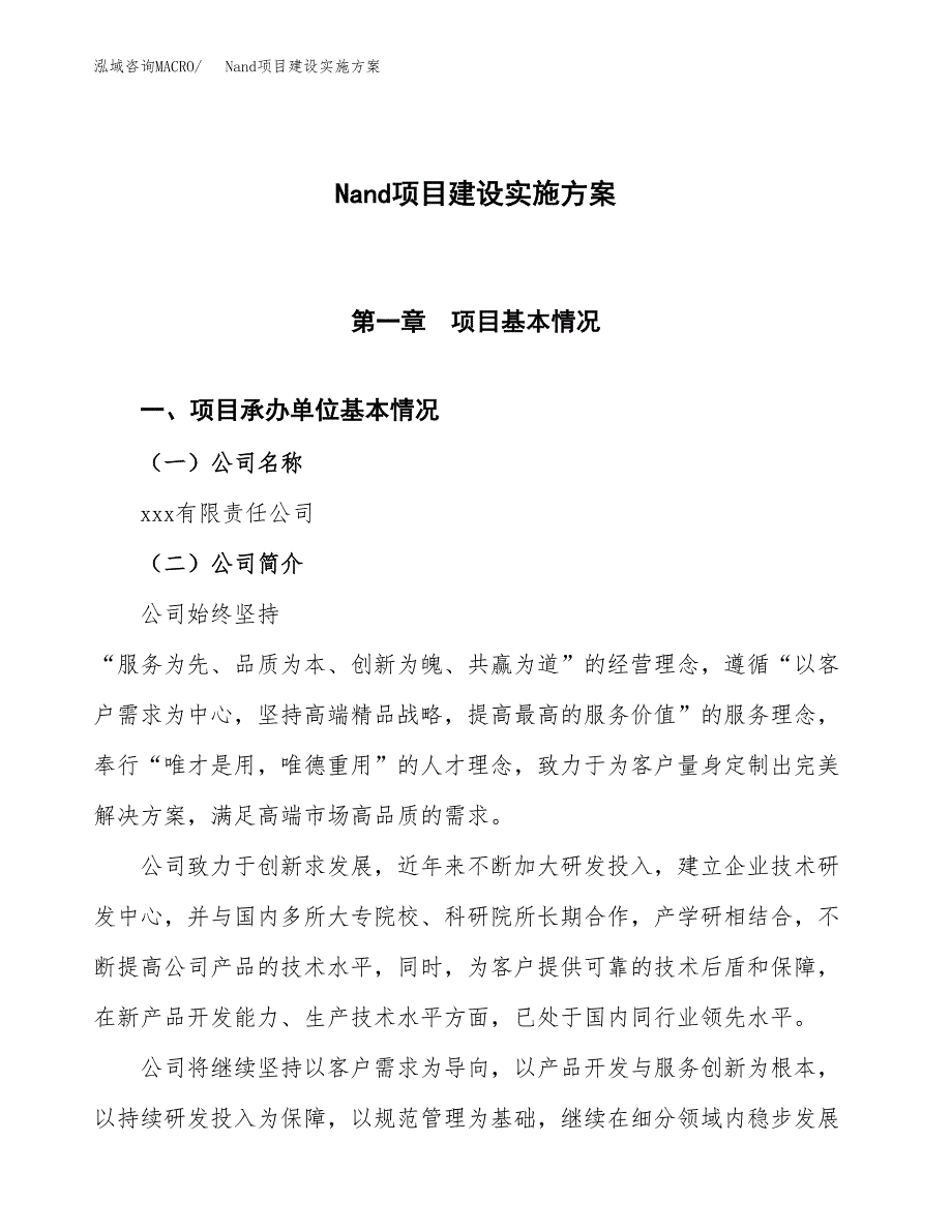 Nand项目建设实施方案.docx_第1页