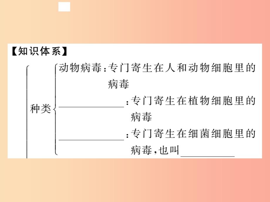 2019年八年级生物上册第五单元第五章簿习题课件 新人教版_第2页