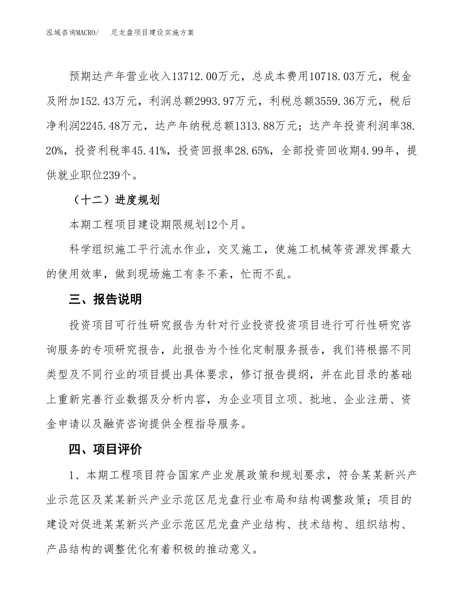 尼龙盘项目建设实施方案.docx_第4页