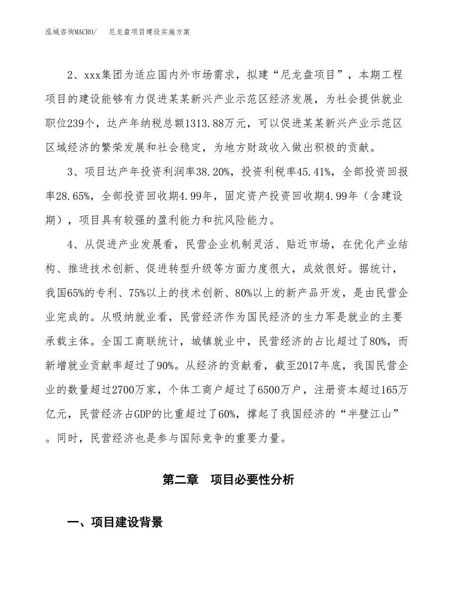 尼龙盘项目建设实施方案.docx_第5页