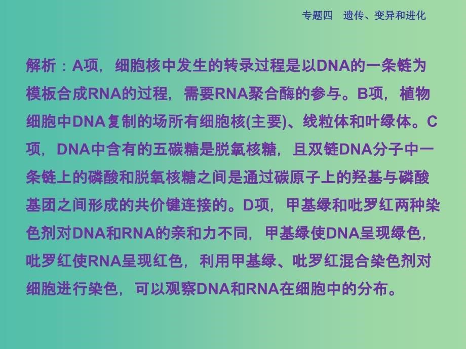 高三生物二轮复习 第一部分 专题四 遗传、变异和进化 第1讲 遗传的物质基础课件_第5页