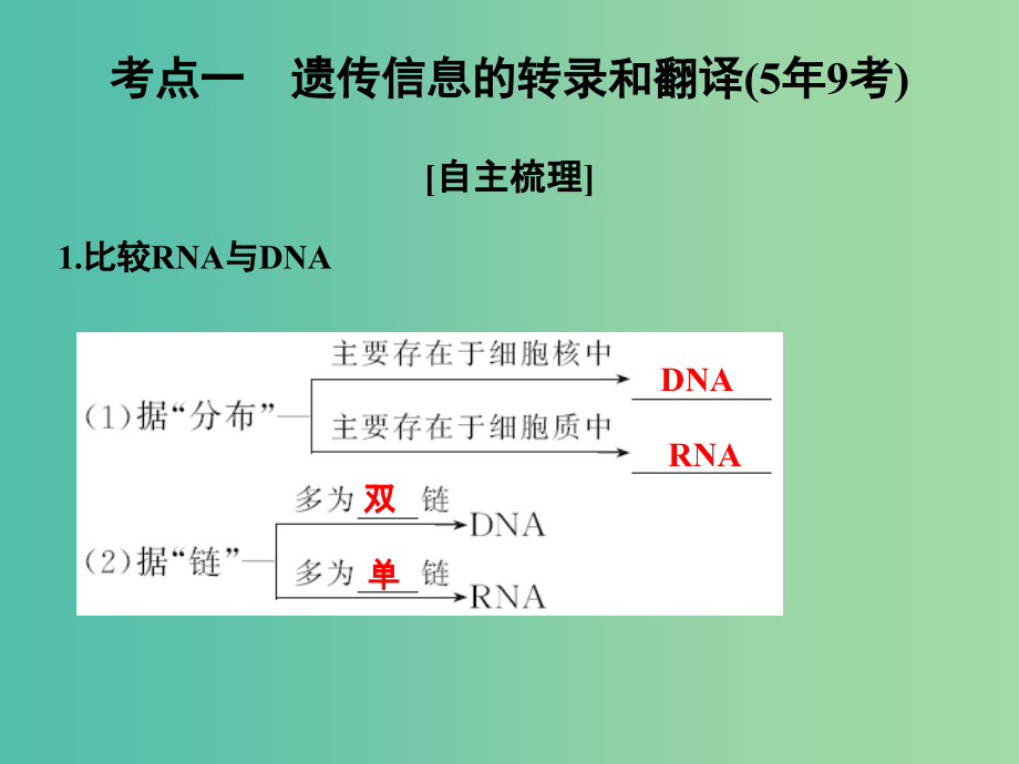 高考生物一轮复习 第六单元 遗传的分子基础 第19讲 基因控制蛋白质的合成及与性状的关系课件_第2页