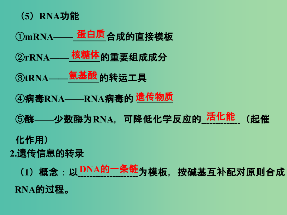 高考生物一轮复习 第六单元 遗传的分子基础 第19讲 基因控制蛋白质的合成及与性状的关系课件_第4页