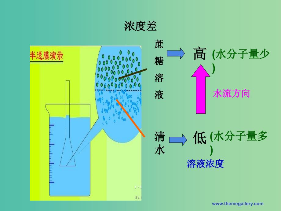 高中生物《4.1 物质跨膜运输的实例》课件（二）新人教版必修1_第4页