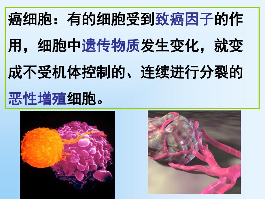 人教版高一必修一6.4细胞的癌变课件2.ppt_第3页