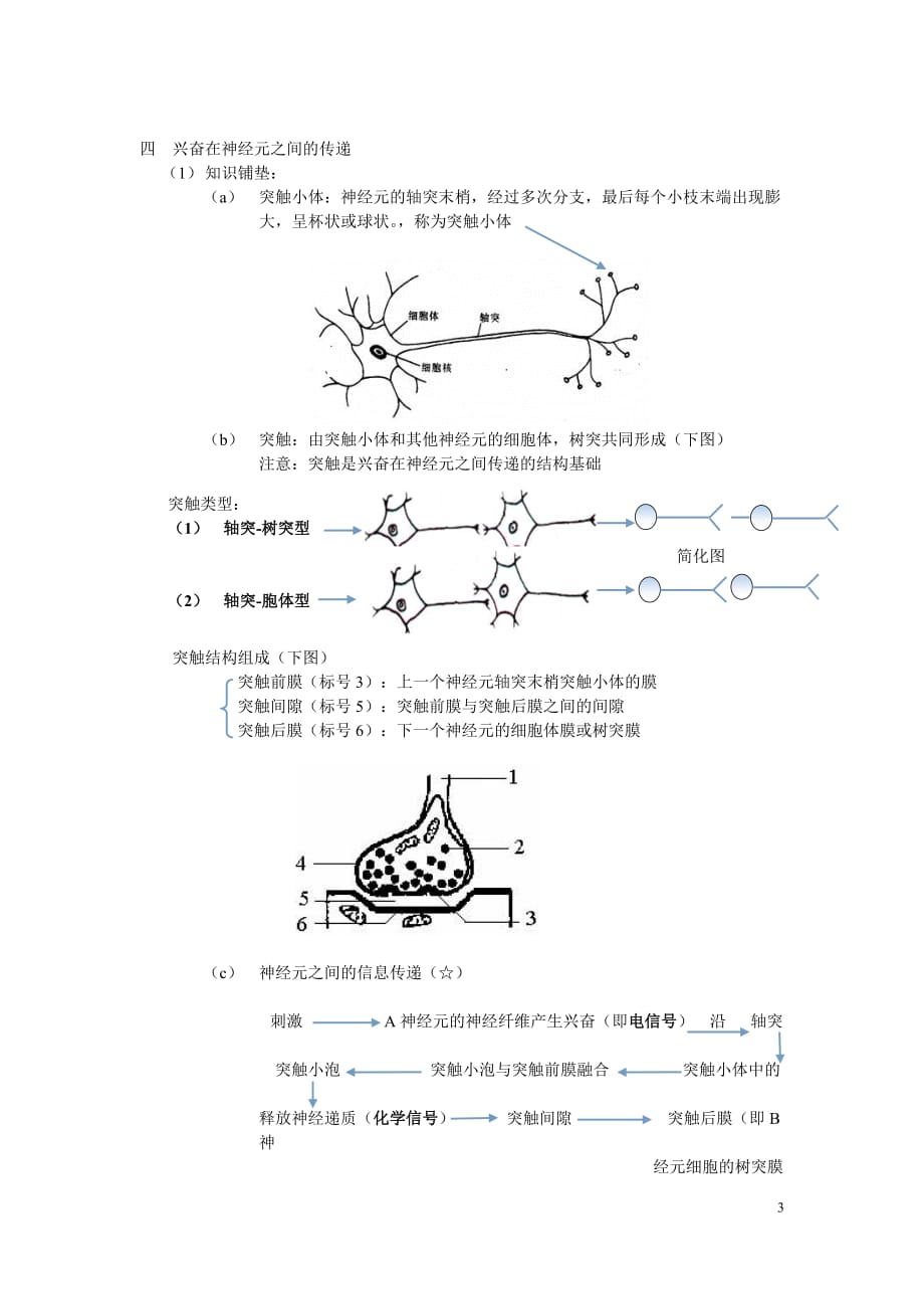 生物必修三第二章第一节通过神经系统的调节资料_第3页