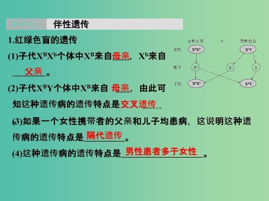 高考生物 第五单元 专题十一 伴性遗传与人类遗传病课件_第5页