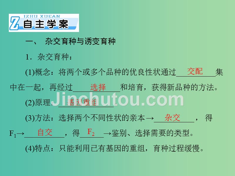 高考生物一轮总复习 第6章 第1、2节 杂交育种与诱变育种、基因工程及其应用课件（必修2）_第4页