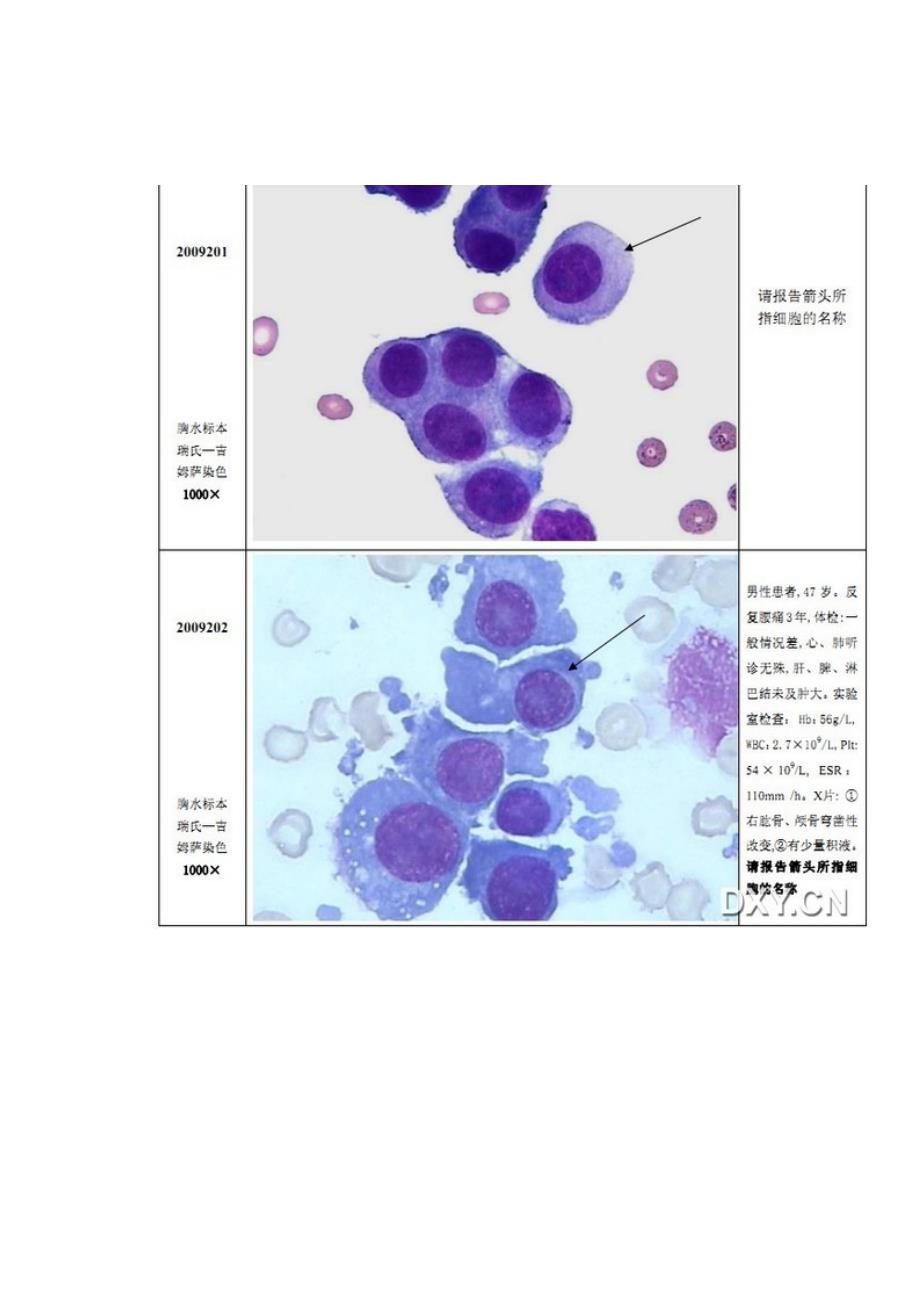 细胞形态学图片资料_第1页