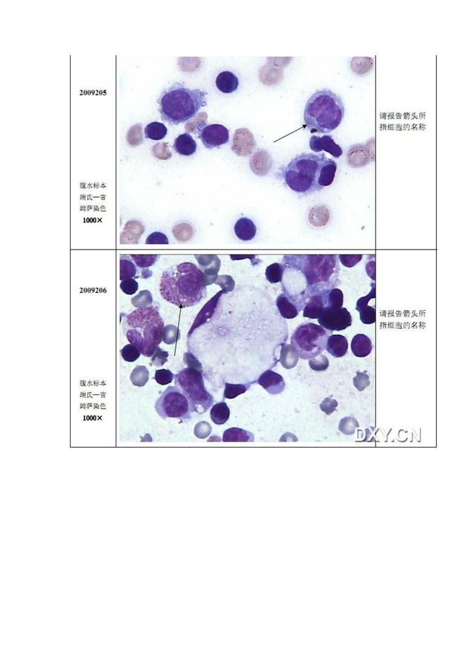 细胞形态学图片资料_第3页