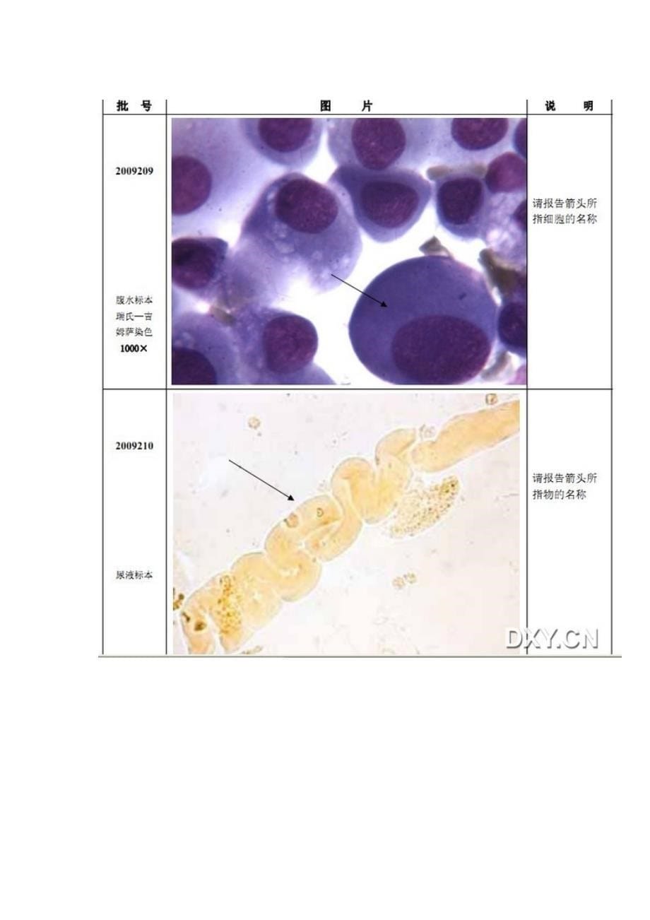 细胞形态学图片资料_第5页