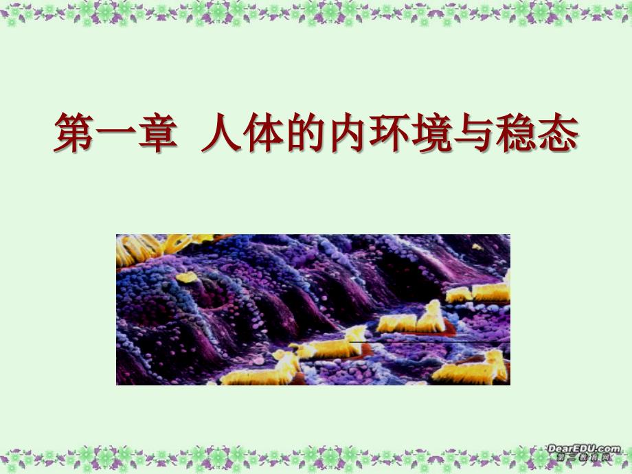 高中生物必修3内环境稳态的重要性课件-人教版.ppt_第1页