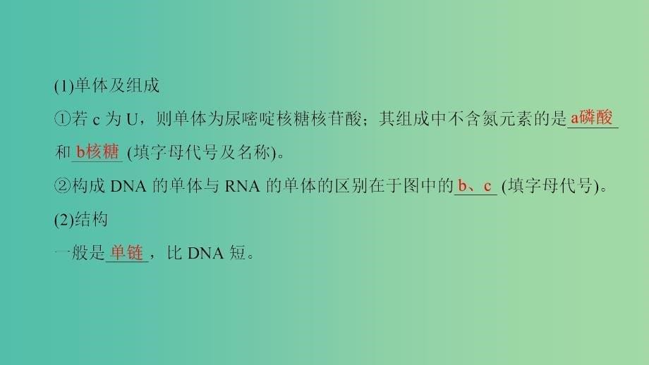 高考生物一轮复习第6单元遗传的分子基础第3讲基因的表达课件_第5页