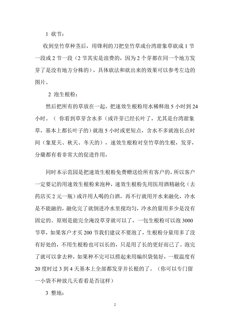 皇竹草种植技术资料_第2页