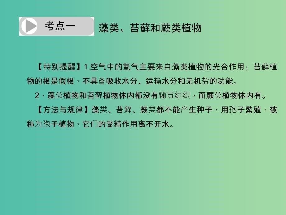 中考生物总复习 第三单元 第一章 生物圈中有哪些绿色植物习题课件 新人教版_第5页