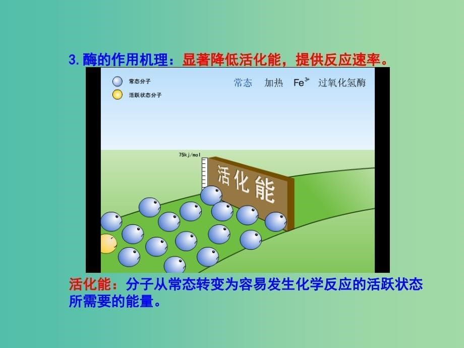 高中生物 专题5.1 降低化学反应活化能的酶课件 新人教版必修1_第5页