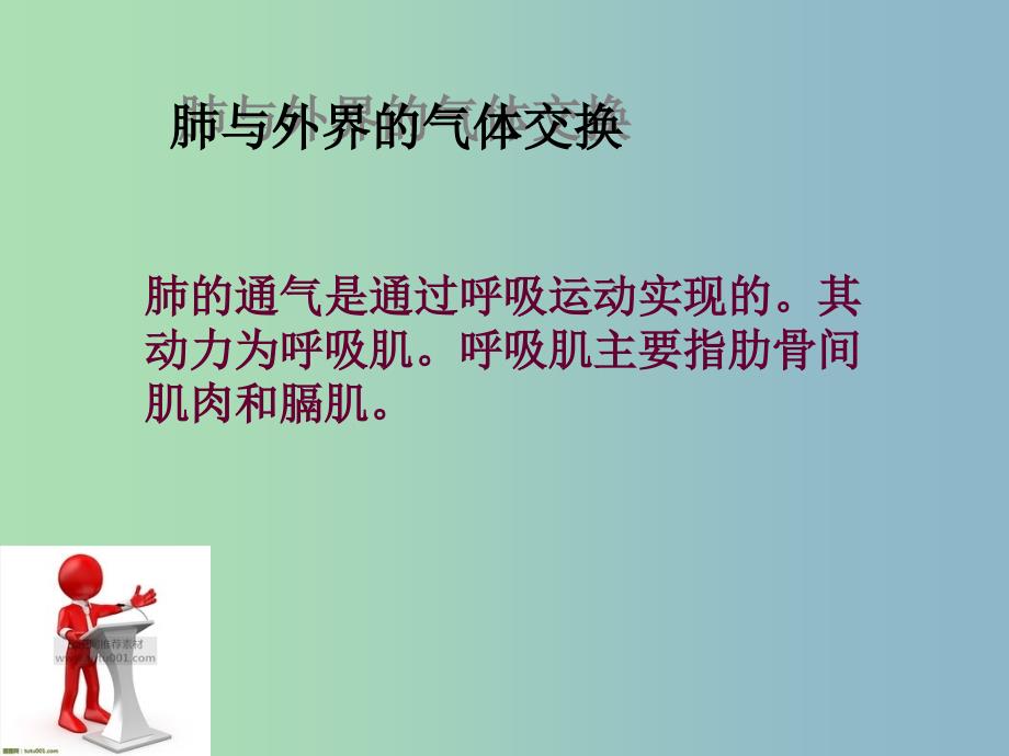 七年级生物下册 第四单元《3.2 发生在肺内的气体交换》课件 新人教版_第4页