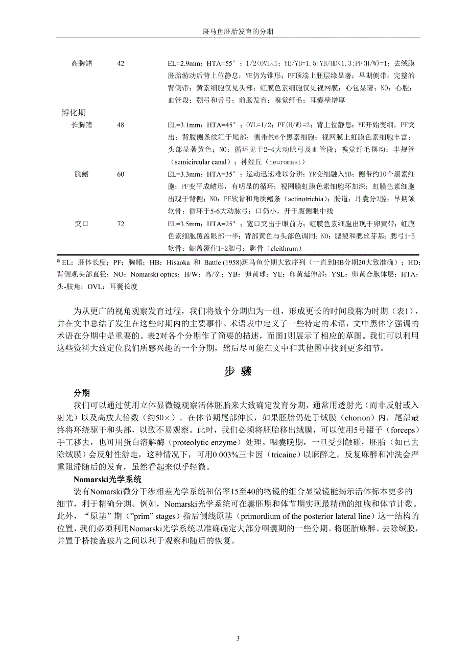 斑马鱼胚胎发育时期资料_第4页