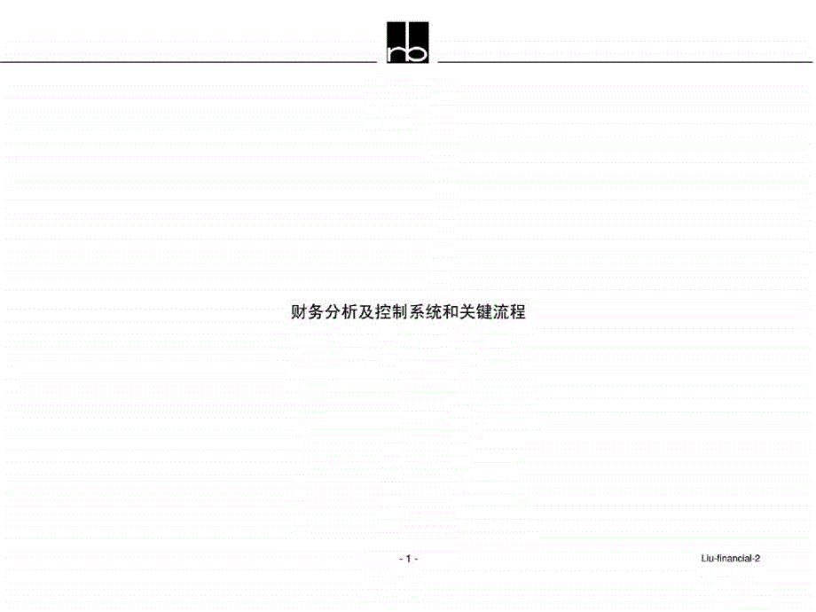 罗兰贝格-德隆集团财务分析及控制系统和关键流程(ppt30)_第1页