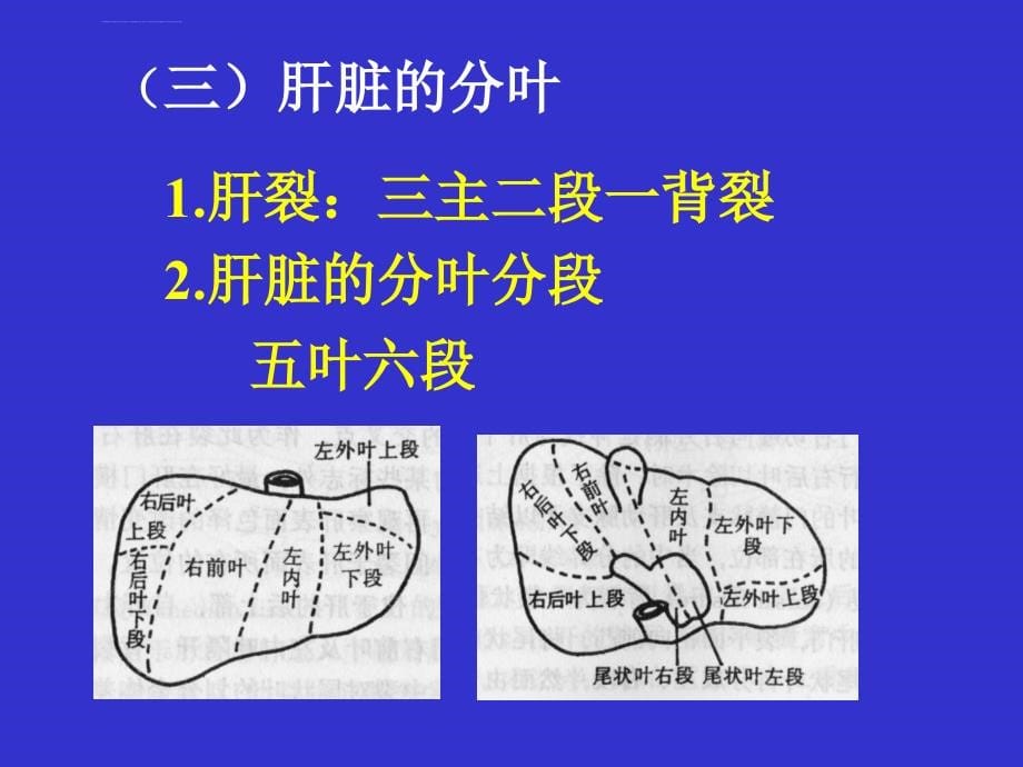 肝癌的外科治疗.ppt_第5页