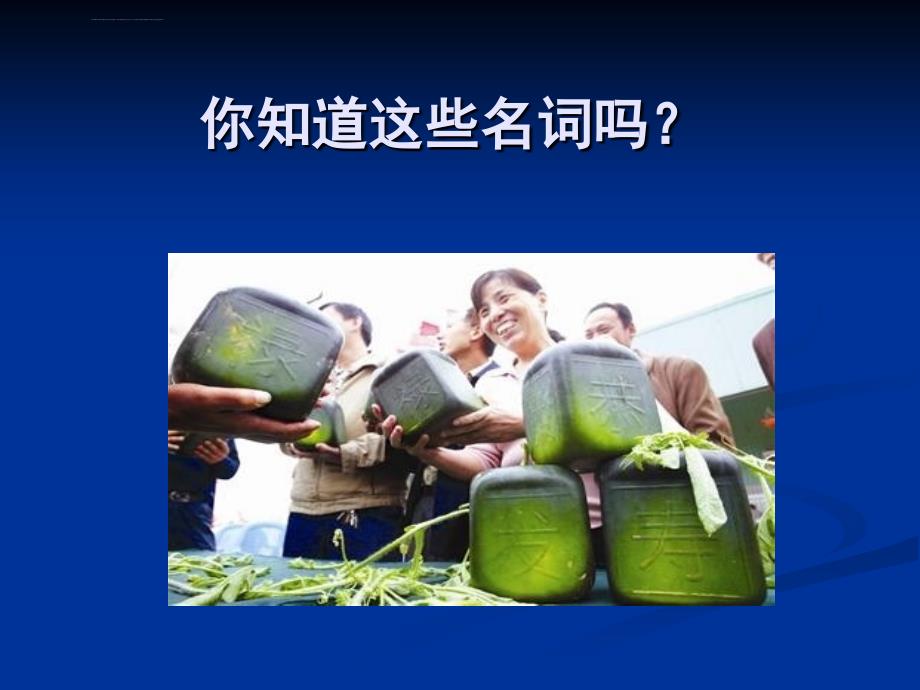 发酵技术课件.ppt_第4页