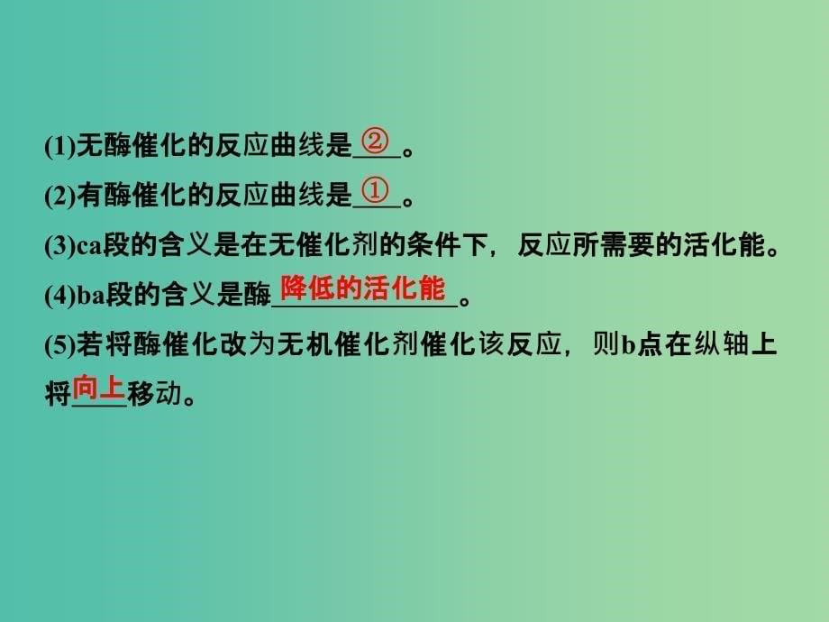 高考生物一轮复习 第3单元 细胞的能量供应和利用 第8讲 酶的本质、特性及相关实验探究课件 新人教版_第5页