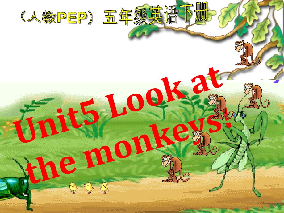 Unit5 Look at the monkeys!（人教PEP版五年级下册）教学课件_第1页