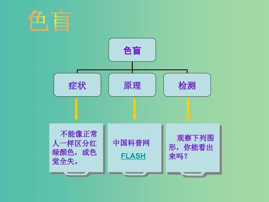 八年级生物下册 22.4 遗传病和优生优育课件 （新版）苏教版_第5页