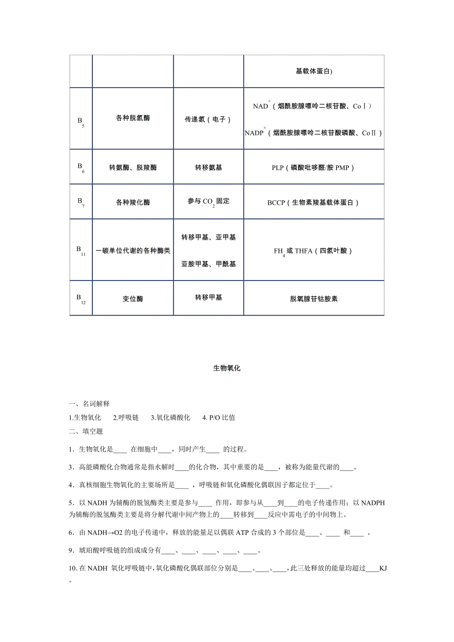 生物化学试题及答案(期末用)资料_第2页