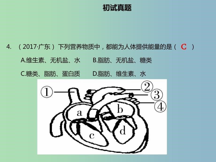 中考生物模块四生物圈中的人第二课时人体内物质的运输课件_第5页