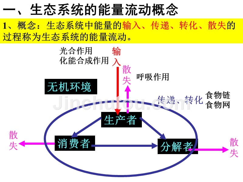 生态系统的能量流动(很好用).ppt_第4页