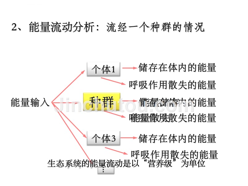 生态系统的能量流动(很好用).ppt_第5页