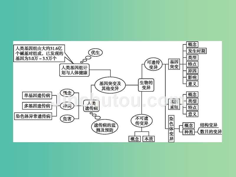 高中生物 章末整合提升5课件 新人教版必修2_第2页