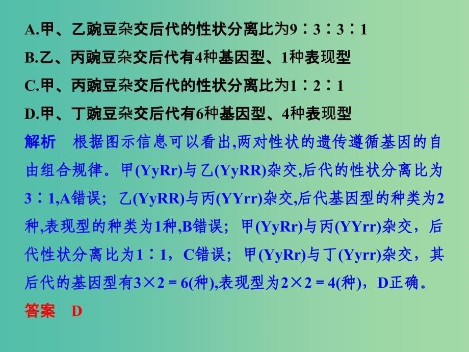 高考生物一轮复习 考点加强课3 孟德尔两大定律的比较、应用课件 新人教版_第5页